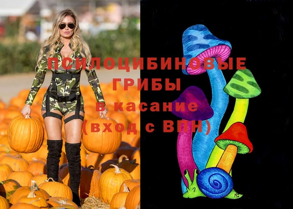 не бодяженный Абаза